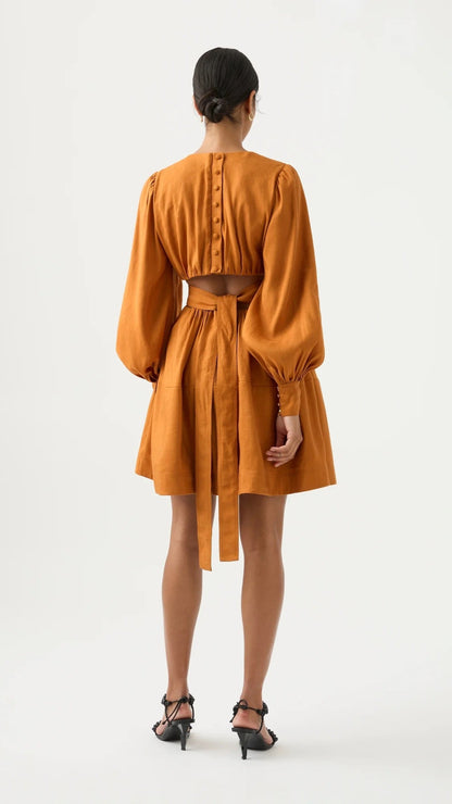 Spectral V Neck Mini Dress